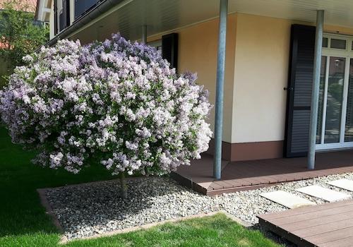 Veranda am Wohnzimmer