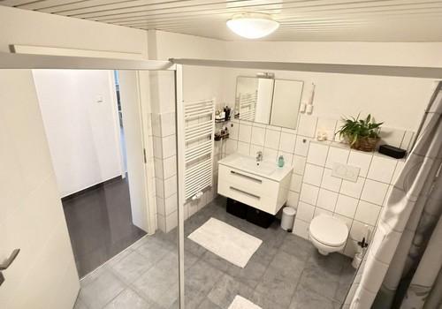 begehbare Dusche mit WC EG