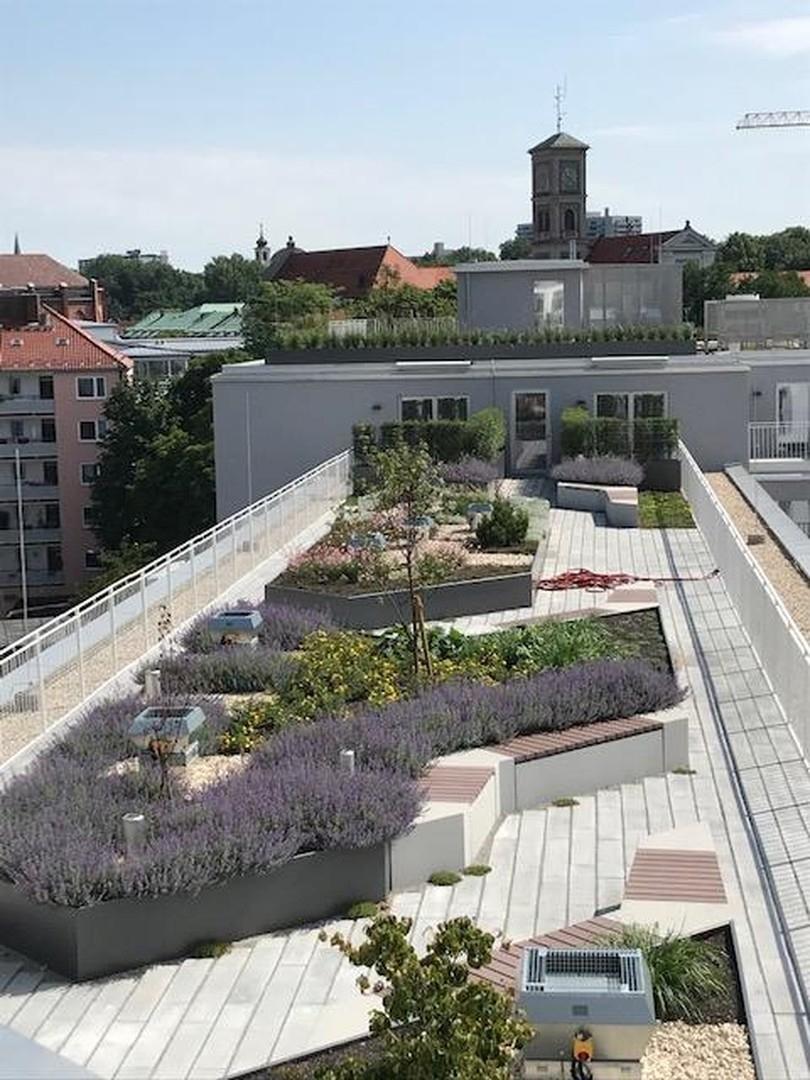 allgemeiner Dachgarten 