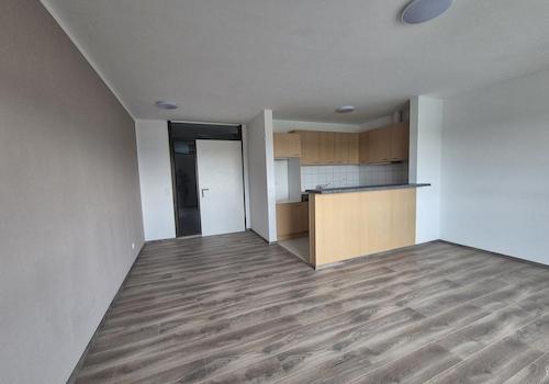 Wohnzimmer mit offener Küche 