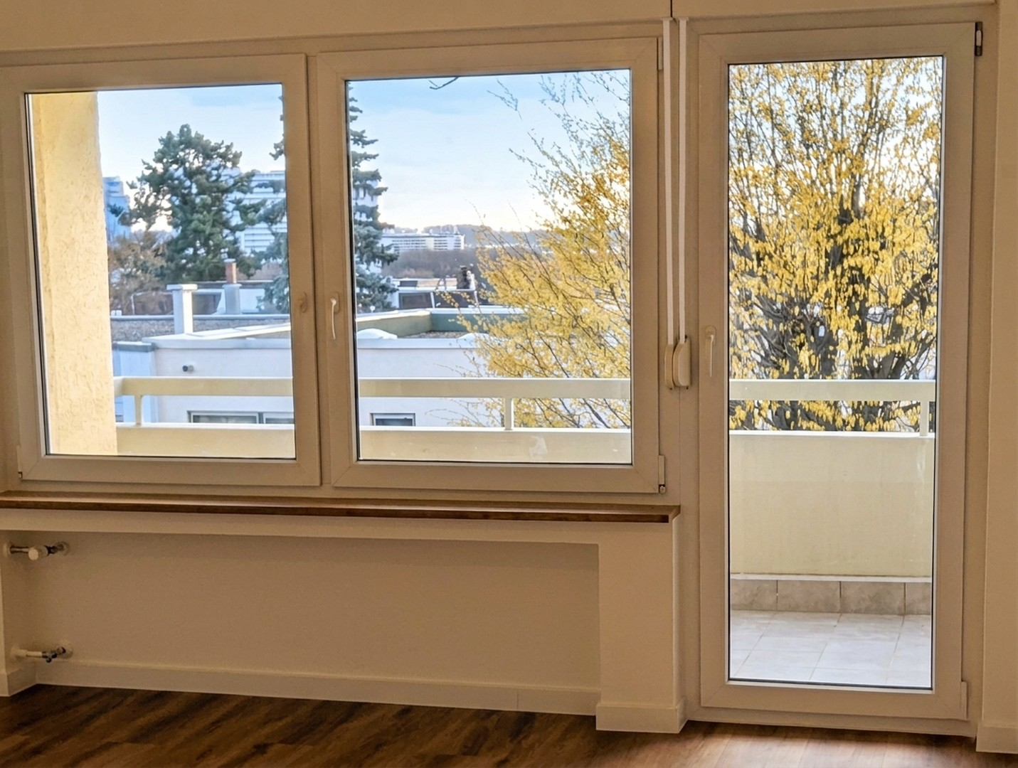 Balkonansicht vom  Wohnzimmer