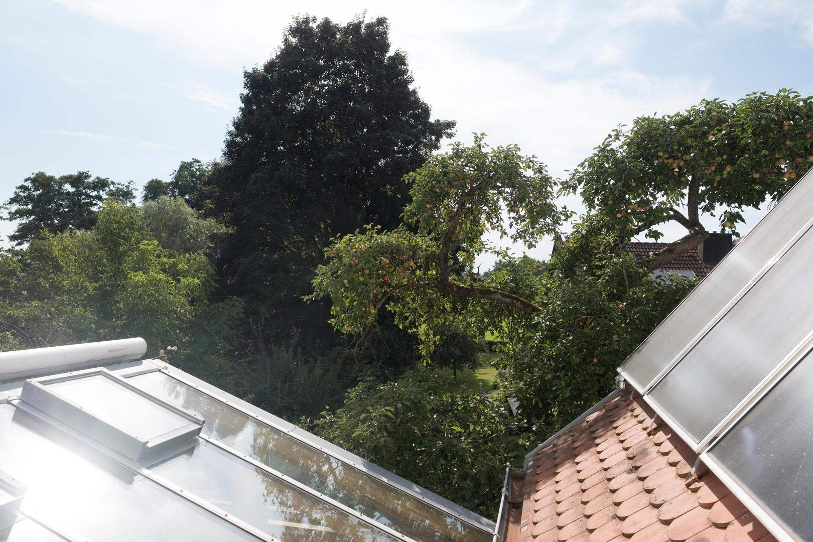 Blick Richtung Westen 2.OG