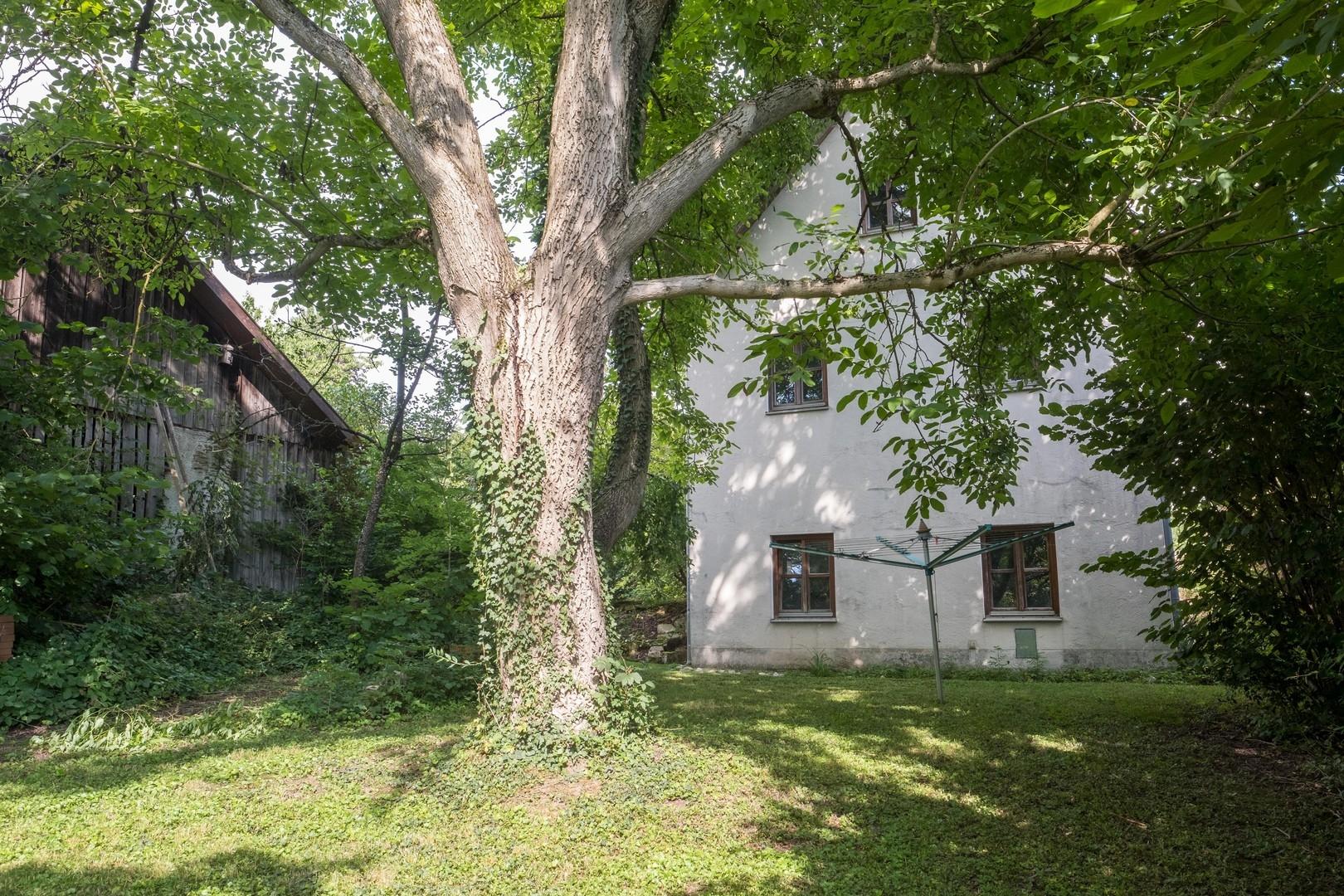Blick auf Garage von Süden