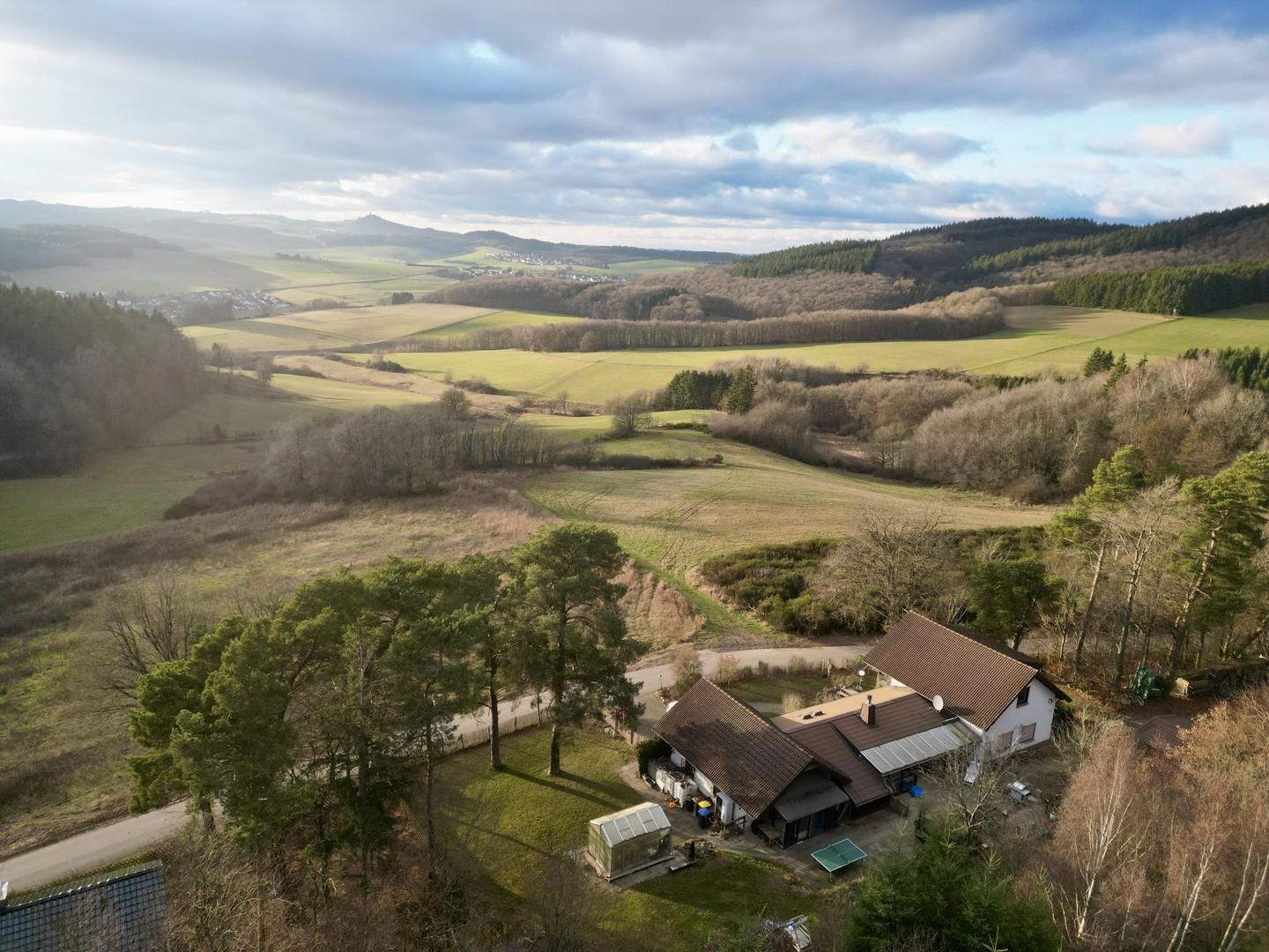 Blick auf die Nürburg 