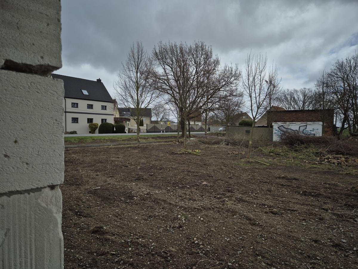Freifläche