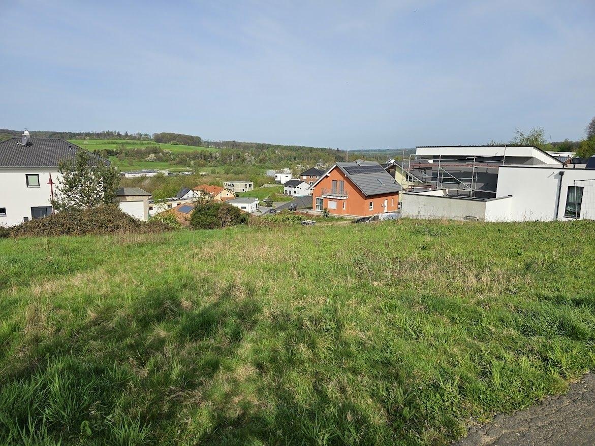 Ausblick 1 Grdst. Raubach