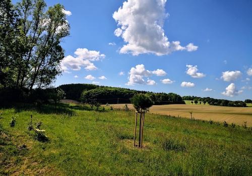 Fernblick nach Süd-Westen