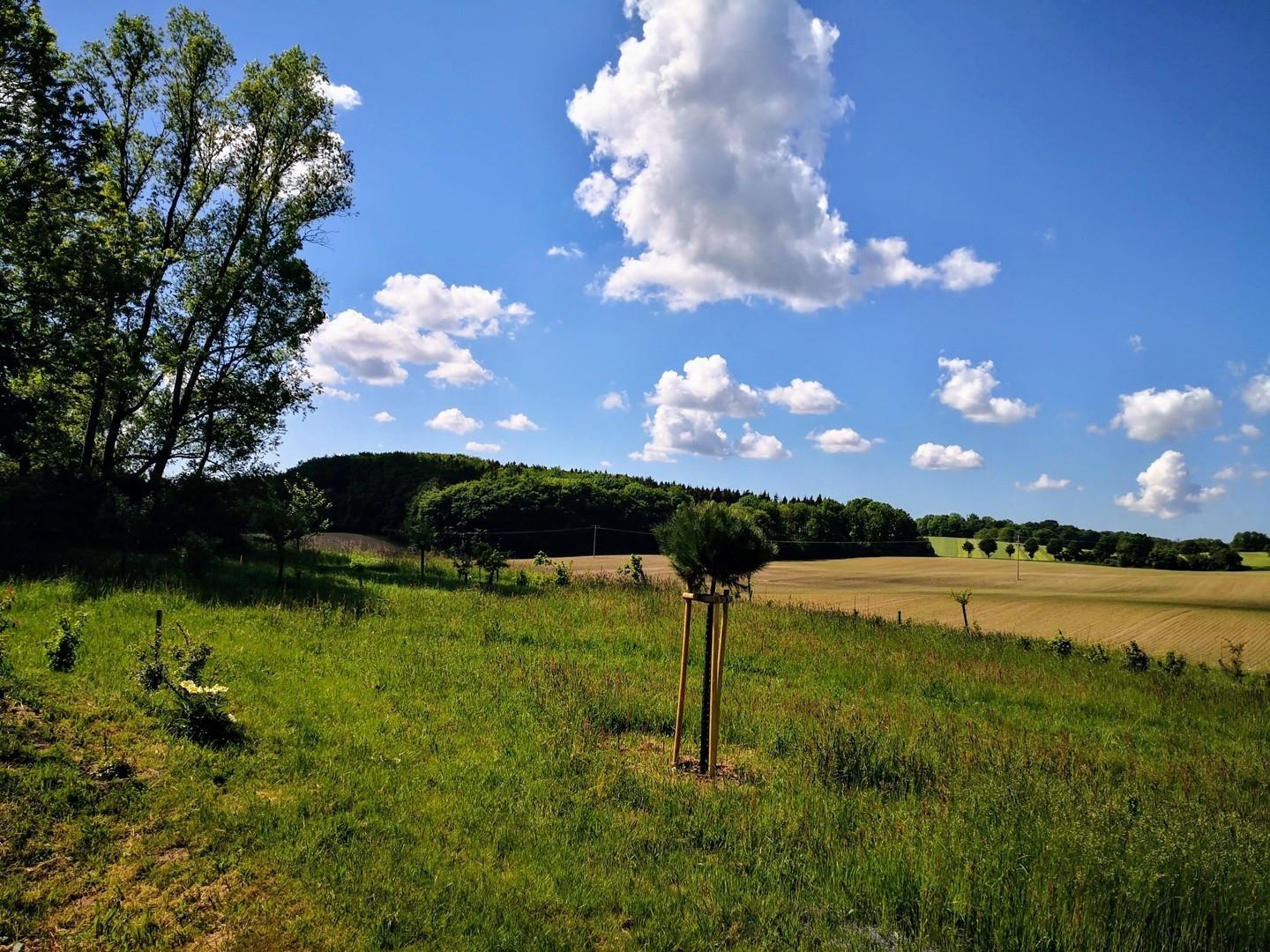 Fernblick nach Süd-Westen