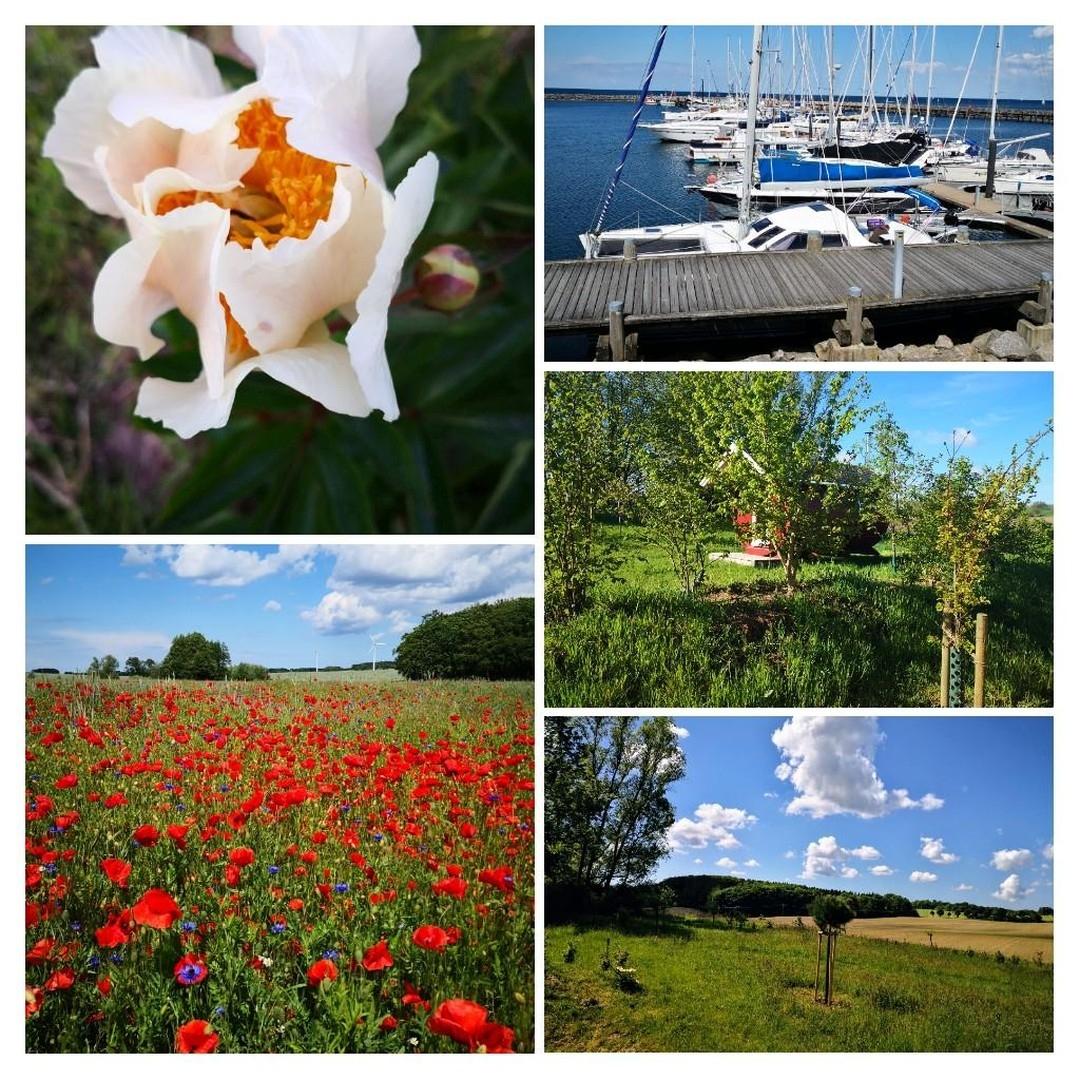 Impressionen Umgebung