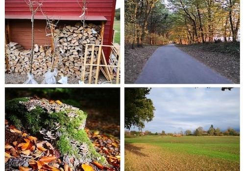 Impressionen Umgebung