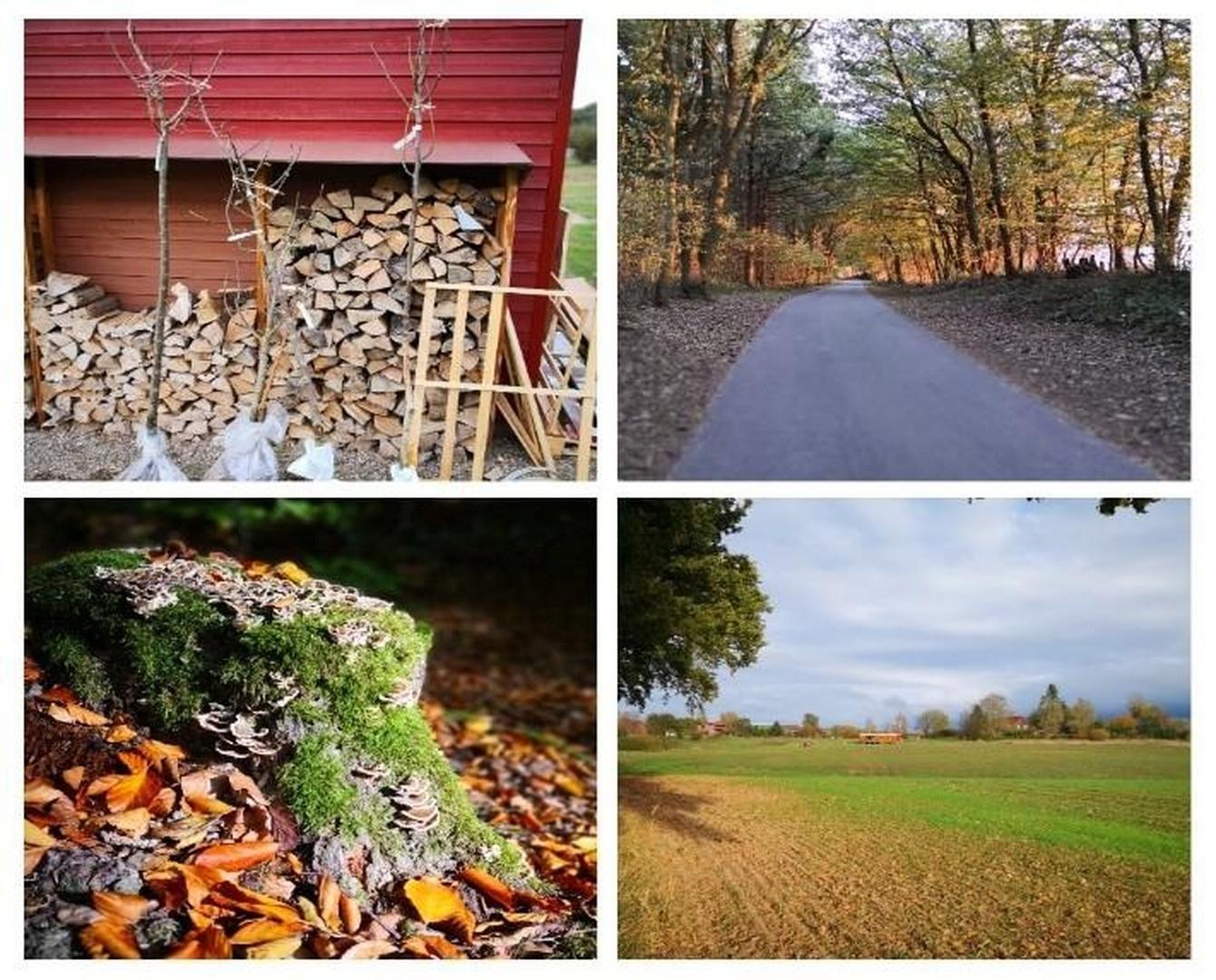 Impressionen Umgebung