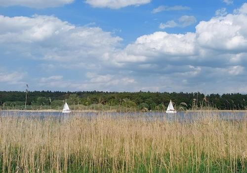 Seeufer vor dem Grundstück