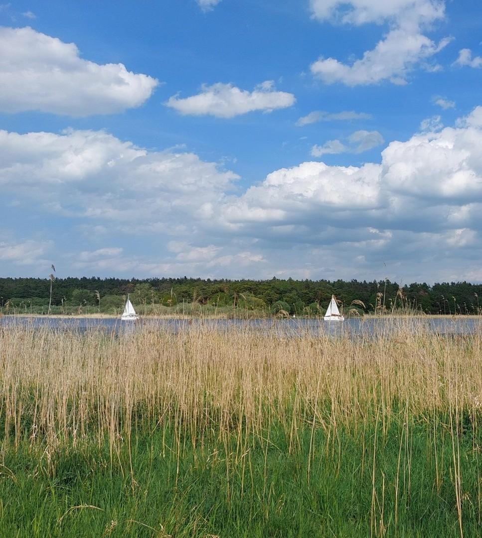 Seeufer vor dem Grundstück