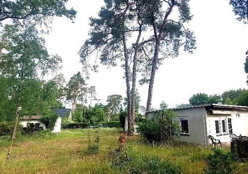 westl. Blick ins Grundstück