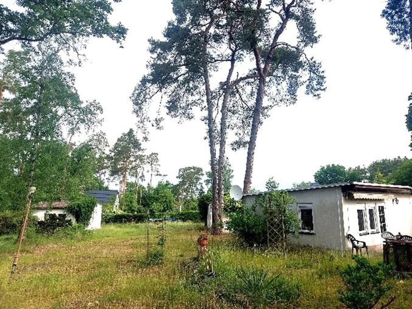 westl. Blick ins Grundstück