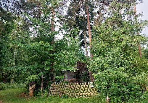 südl. Blick ins Grundstück