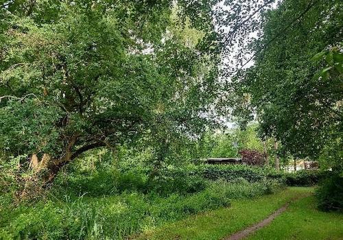 parkähnl. Baumbestand 