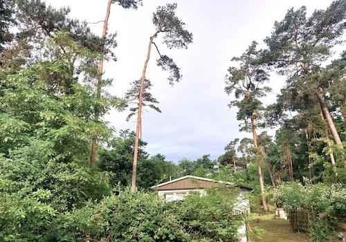 Eingang aus Richtung Seeufer 