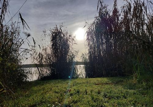 Impressionen am Morgen