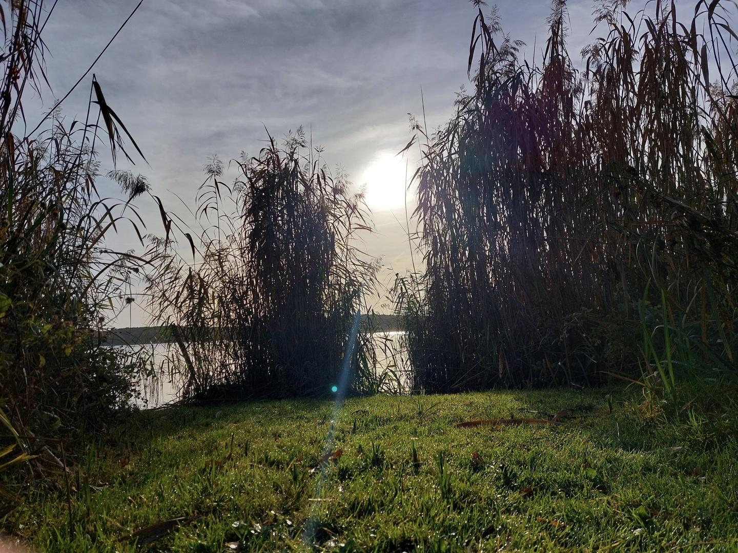 Impressionen am Morgen