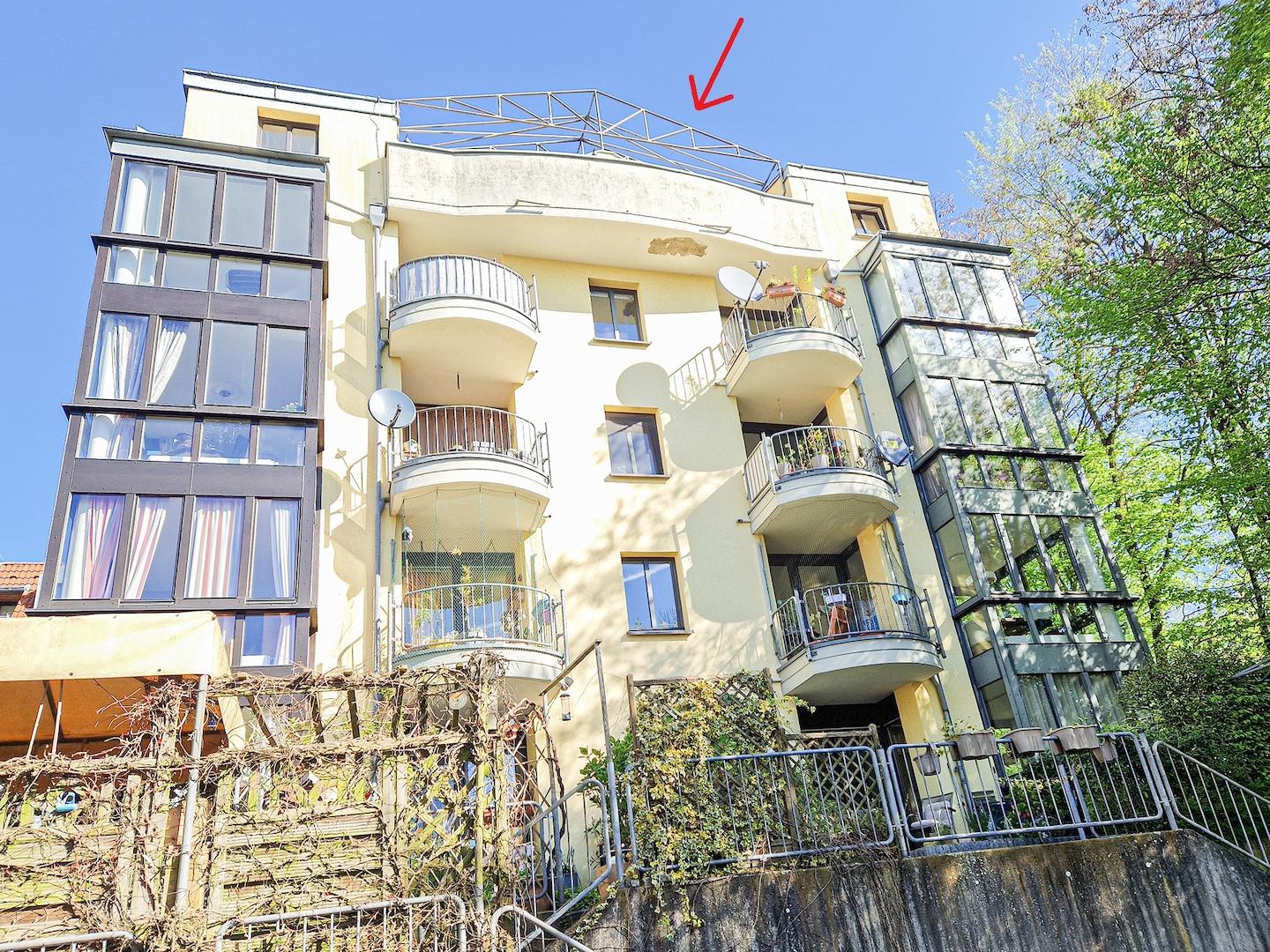 Baumkronenpanoramablick