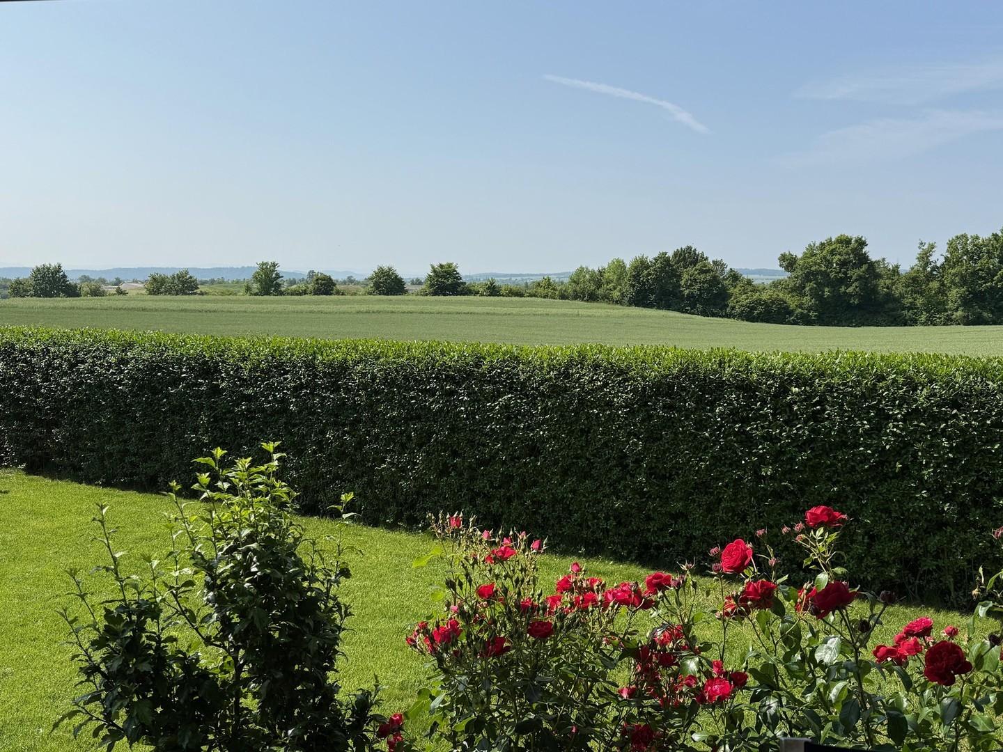 Südgarten mit Feldblick