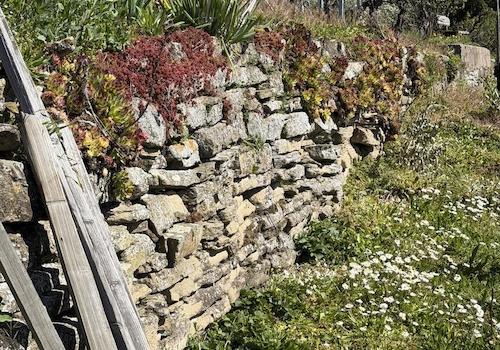 Steinmauern