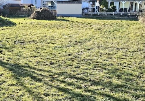 Rasenfläche ganz hinten