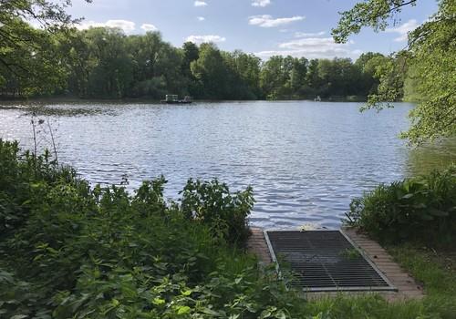 Waldsee