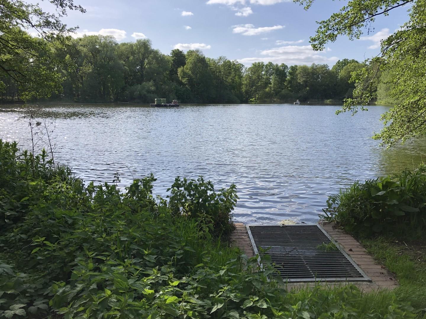 Waldsee