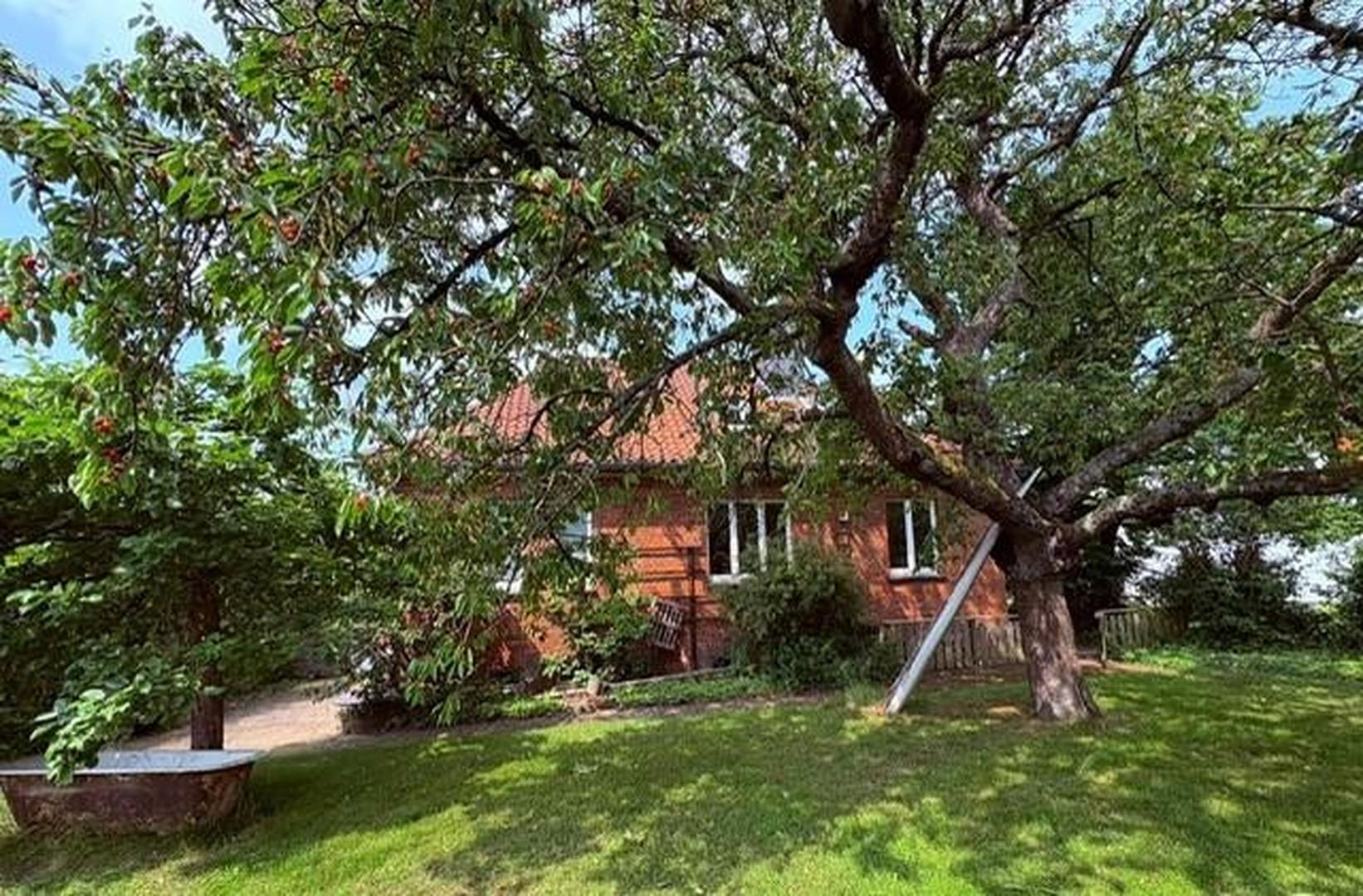 rückseitige Ansicht