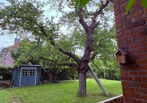 Garten, rechts d. Kellerabgang