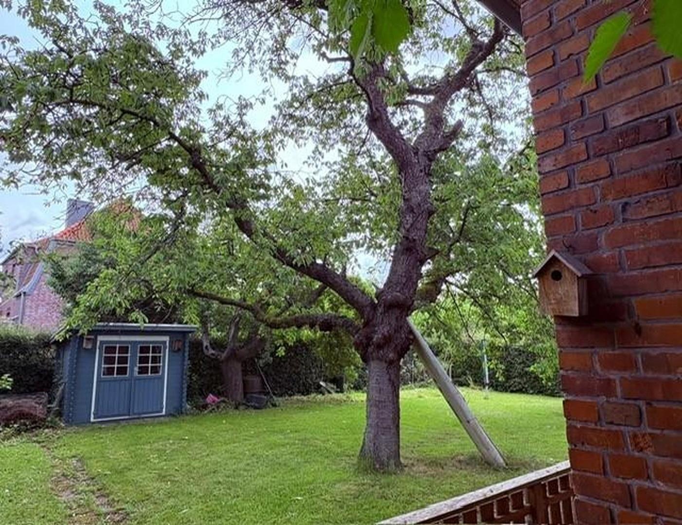 Garten, rechts d. Kellerabgang