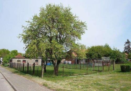 Ansicht hinten