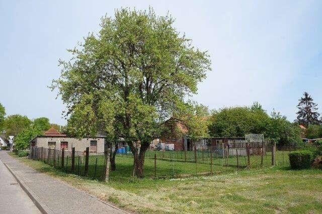 Ansicht hinten