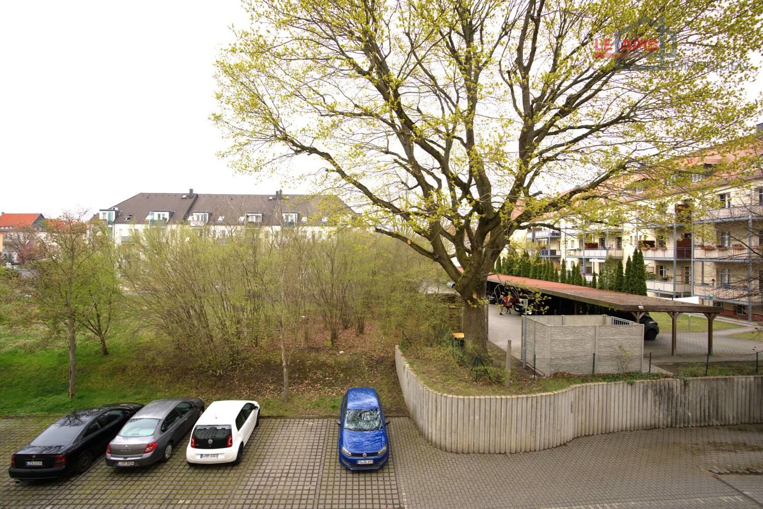 Gartenbereich-PKW-Stellplätze