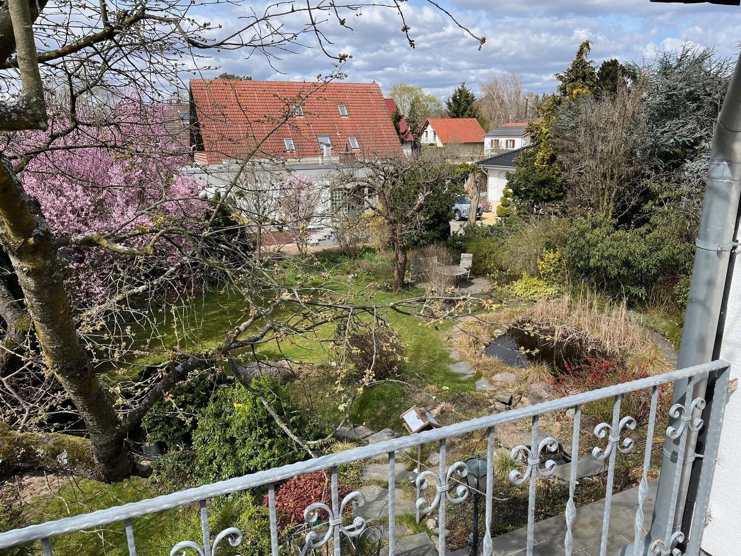 OG Blick in den Garten