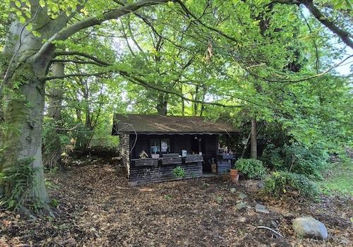 PHOTO-2026-03-19-19-22-15 2