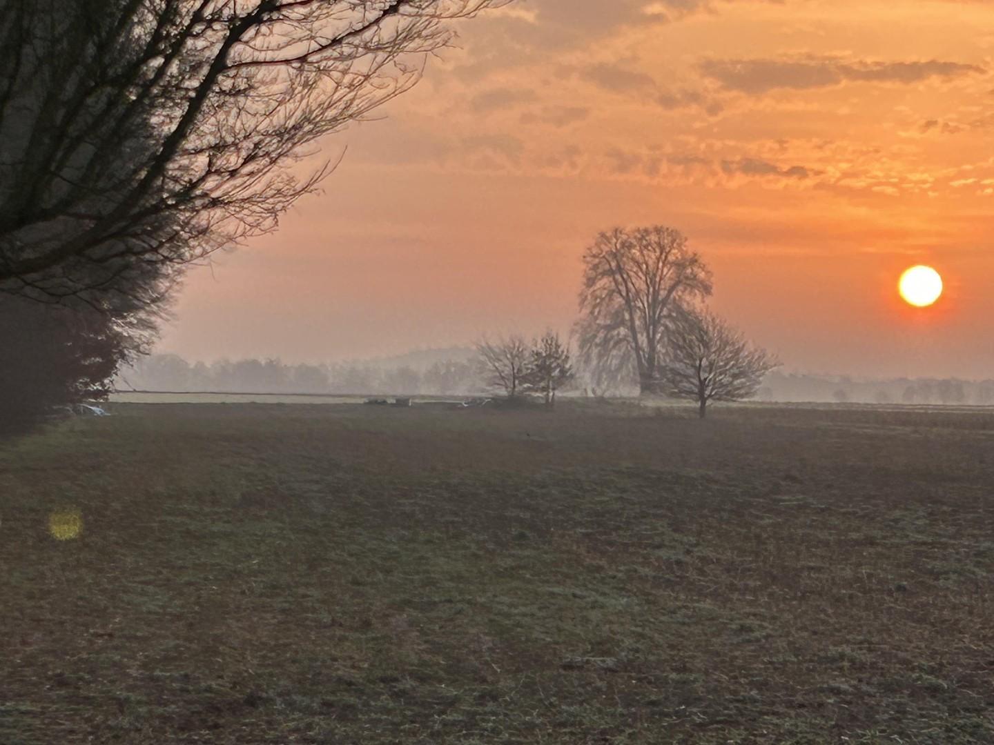 Blick aus Fenster am Morgen