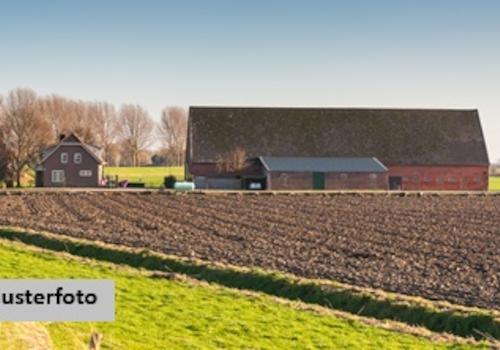 Keine Originalbilder