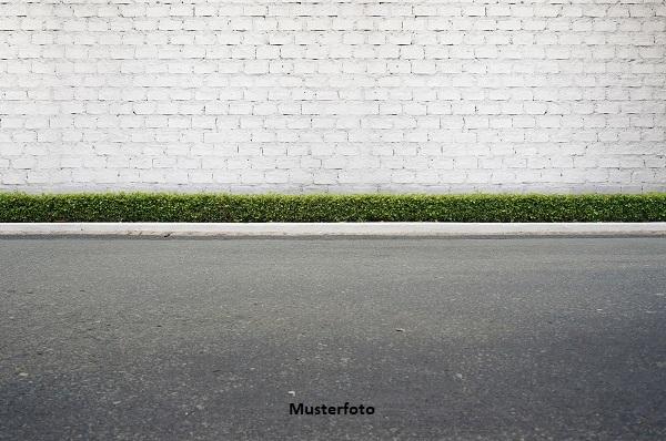 Keine Originalbilder