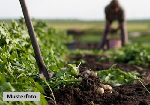 Keine Originalbilder