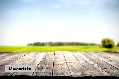 Keine Originalbilder