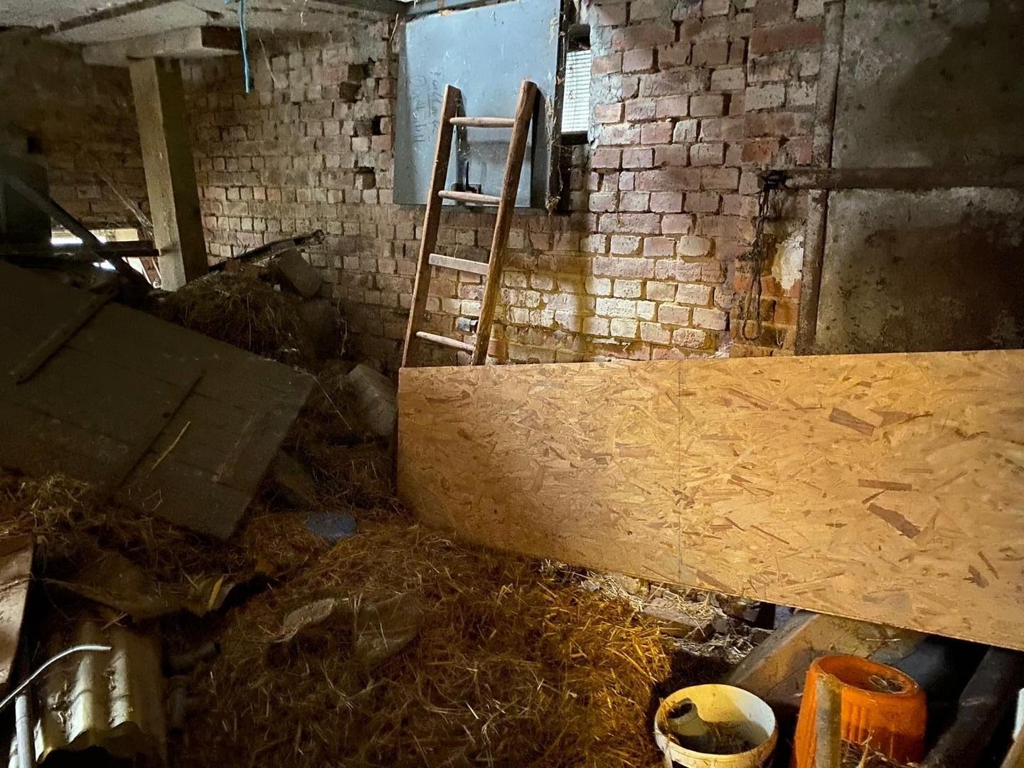 Anbau / ehemaliger Hühnerstall