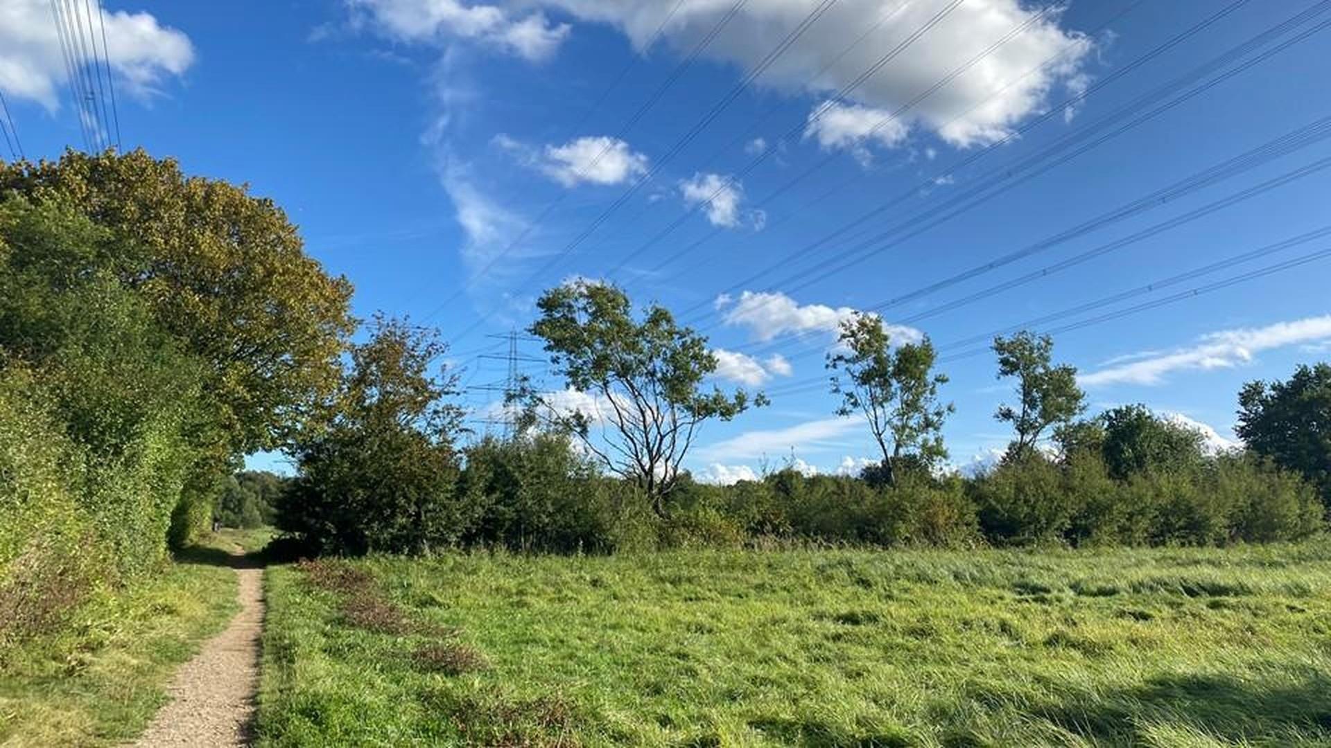 Boberger Ausgleichswiesen