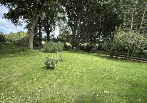 Blick in den Garten Richtung Kläranlage und Klärteich