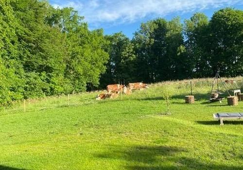 Garten Richtung Norden 2