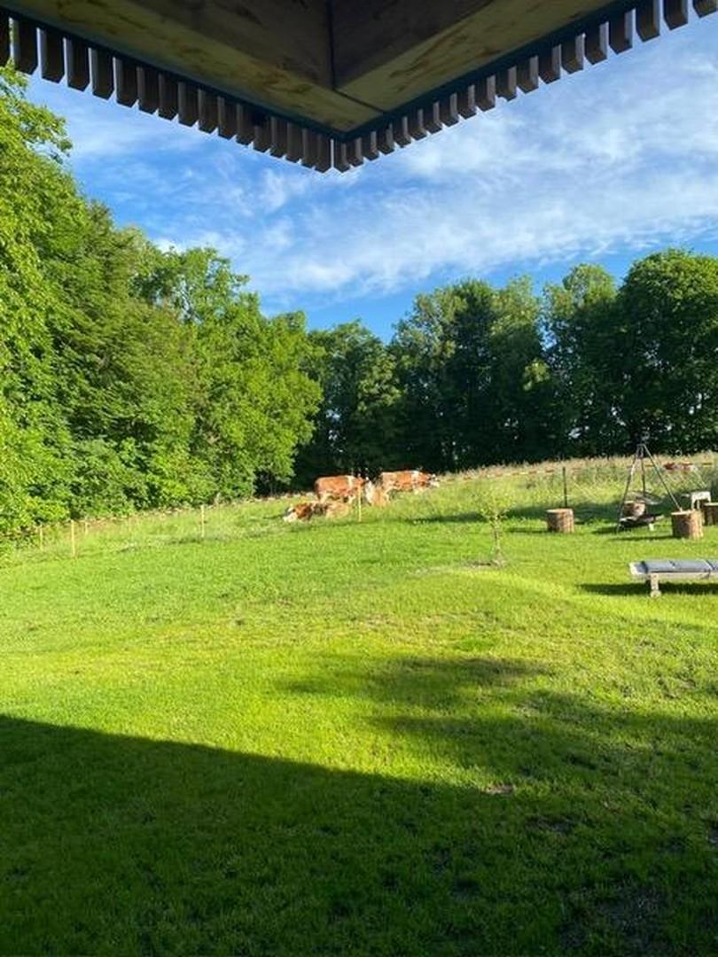 Garten Richtung Norden 2