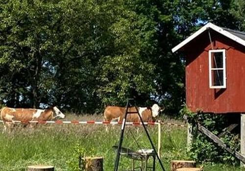 Garten Richtung Norden 3