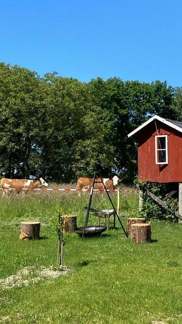 Garten Richtung Norden 3